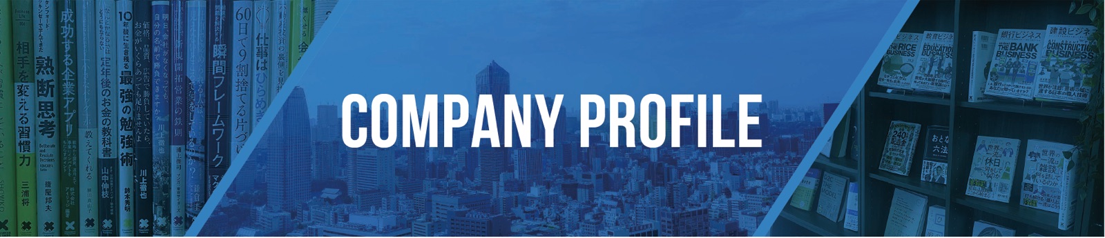 COMPANY PROFILE